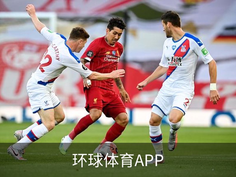 环球体育APP介绍